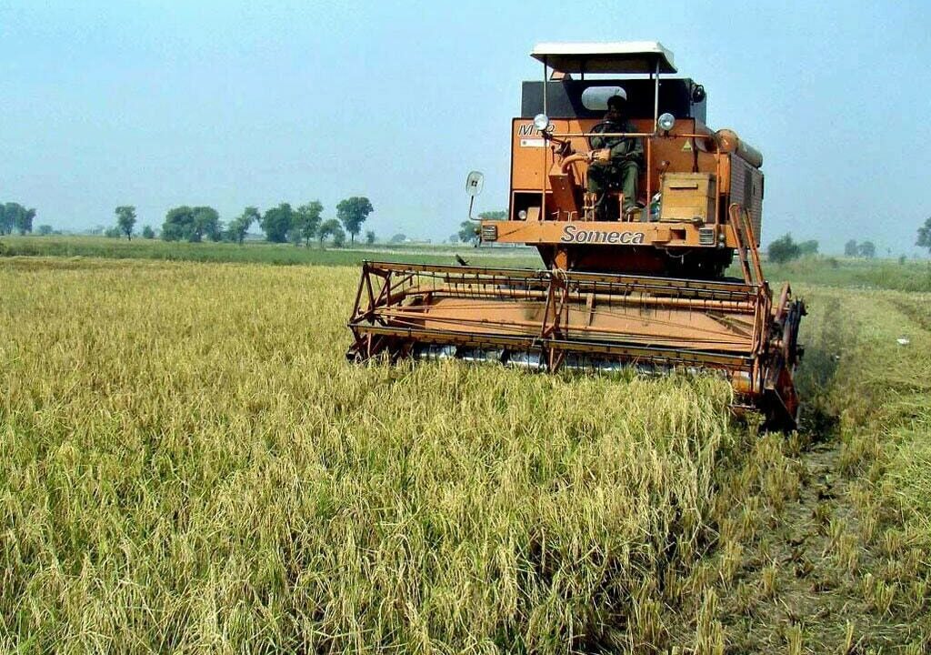 Punjab Aims to Boost Agricultural Output through Collaborative Efforts